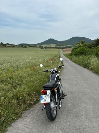 Mash Five Hundred Negra/Plata