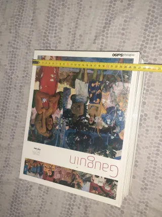 Libros pintura pintores colección