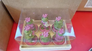 Set 6 Candele Rana Rosa e Verde