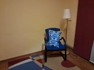 Alfombra, sillón y lámpara