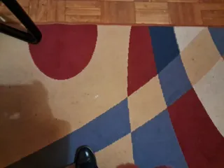 Alfombra, sillón y lámpara