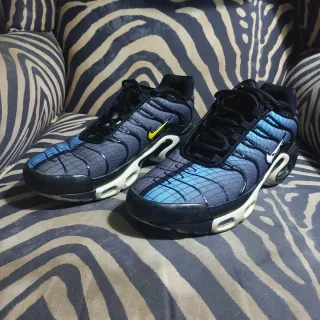 Zapatillas Nike Air Max Plus TN T.42 "Greedy"