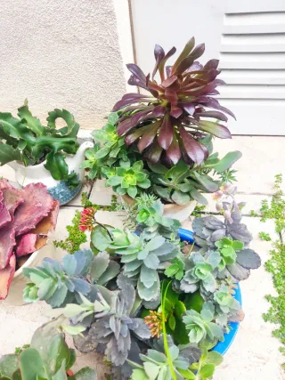 Oferta Hoy lote plantas int/ext, terraza, jardín