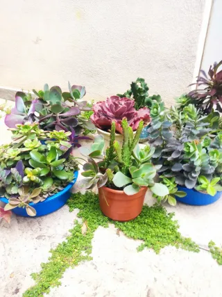 Oferta Hoy lote plantas int/ext, terraza, jardín