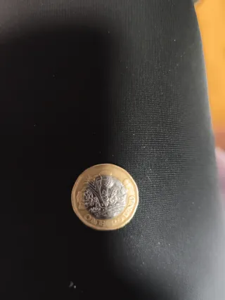 Moneda de 1 libra en perfecto estado