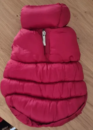 Abrigo Teo I'm Cool Rojo para Mascotas