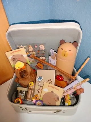 Capiba maletín con material escolar.