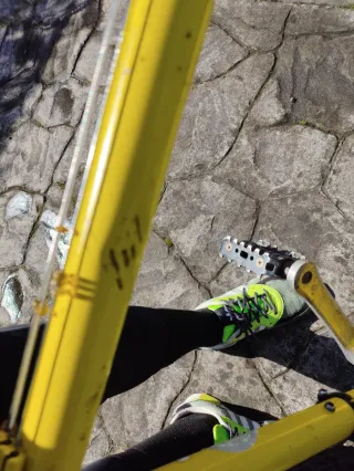 Bicicleta 26 Vintage llantas marca RIGIDA