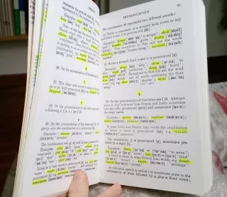 Teach Yourself Swedish di R. J. McClean