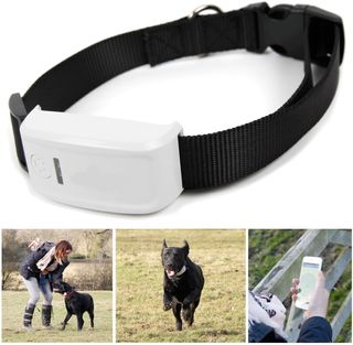 Localizador GPS Winnes tk909  para Mascotas