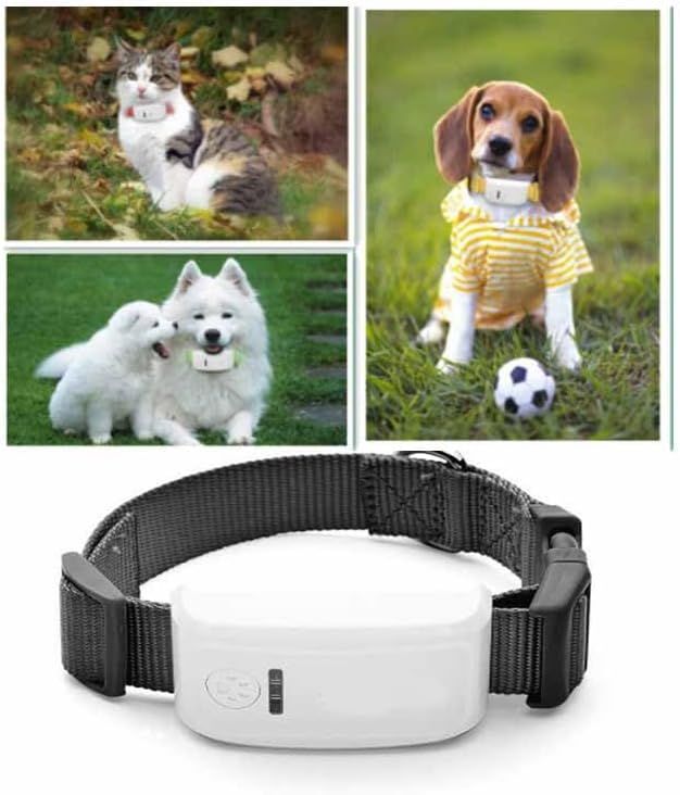 Localizzatore GPS Winnes tk909 per Animali Domestici