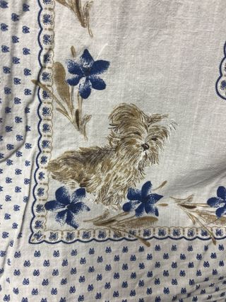 Lenzuolo singolo con federa