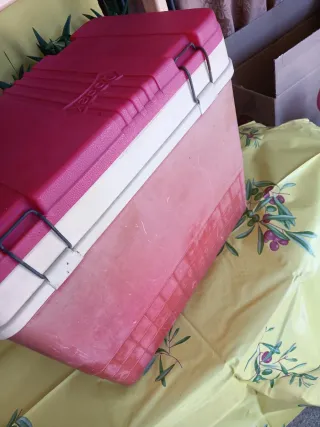 Nevera Grande Vintage Roja y Blanca