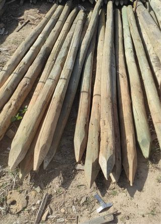 Postes de madera 2,50m
