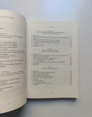 Economía y sociedad andaluza.