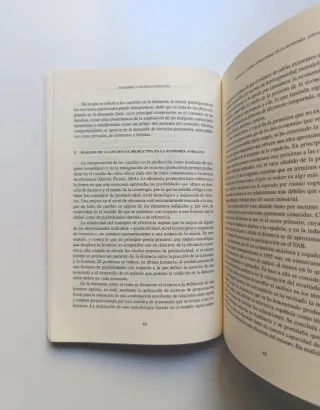 Economía y sociedad andaluza.