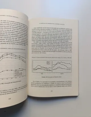 Economía y sociedad andaluza.