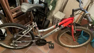 Bicicleta Globe Trotter