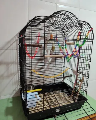 Jaula para agapornis, ninfas y pájaros