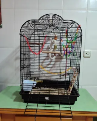 Jaula para agapornis, ninfas y pájaros