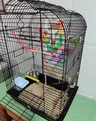 Jaula para agapornis, ninfas y pájaros