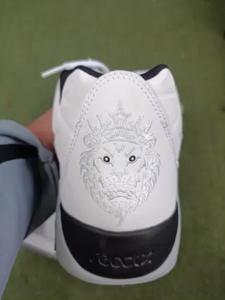 Nike Lebron Witness IX