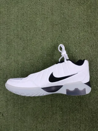 Nike Lebron Witness IX