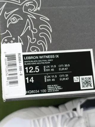 Nike Lebron Witness IX
