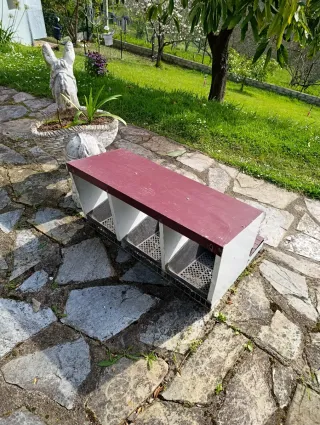 Ponedero copele para gallinas