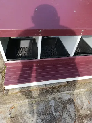 Ponedero copele para gallinas