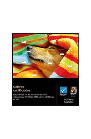 Samsung OLED 77 S85F (2025) Nueva