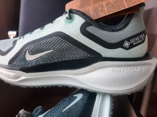 Nike Air Zoom Pegasus 41 GTX Talla 42