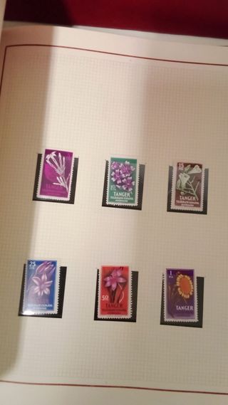 Álbum Olegario para sellos