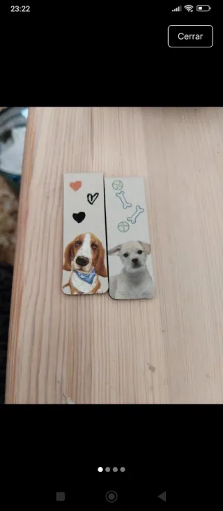 Puntos de libro imantados