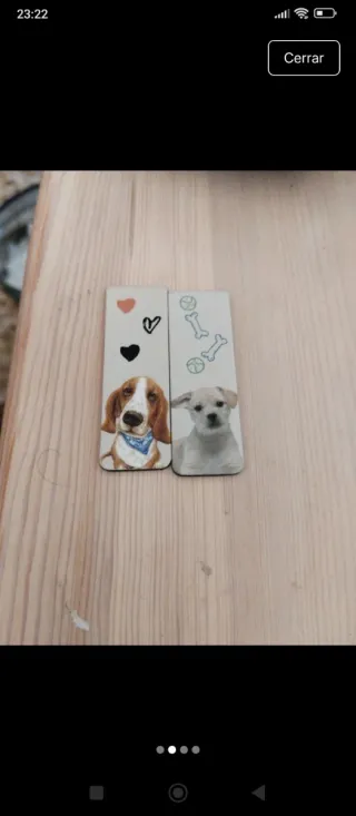 Puntos de libro imantados