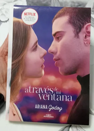 Libro a través de mi ventana