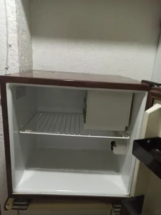 Frigorífico pequeño Zanussi