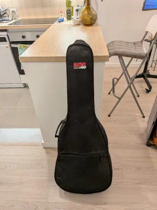 Guitarra Epiphone DR-100 con funda y afinador