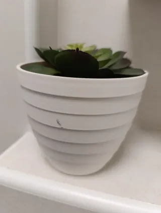 Suculenta artificial decorativa