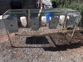 Jaula metálica con bebederos