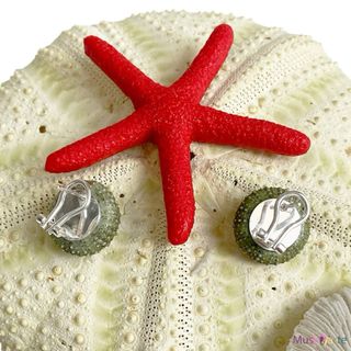 Pendientes Erizos Mar Reales y Plata Ley