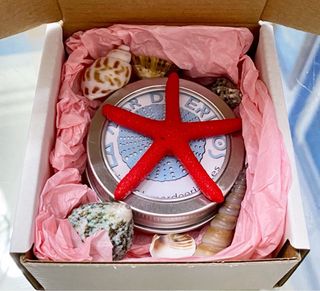 Pendientes Erizos Mar Reales y Plata Ley