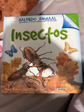 Insectos (Mundo animal/ Animal World) (Spanish ...