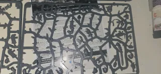 Warhammer Grey Hunter pezzi su sprue