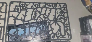 Warhammer Grey Hunter pezzi su sprue