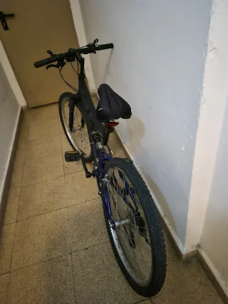 Bicicleta Negra/azul