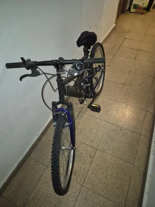 Bicicleta Negra/azul