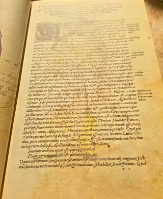 Libro de historia stirpium, comentario insignes