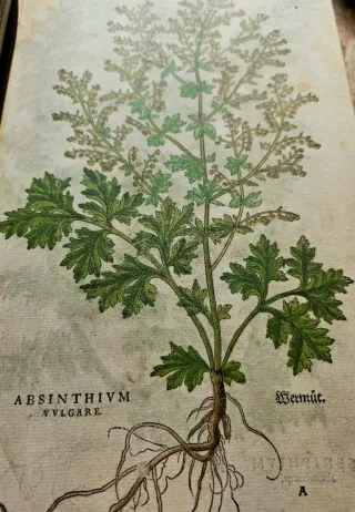 Libro de historia stirpium, comentario insignes