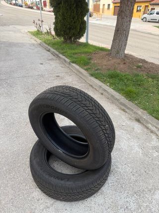 Neumáticos Wintergrip HP 215/65 R16